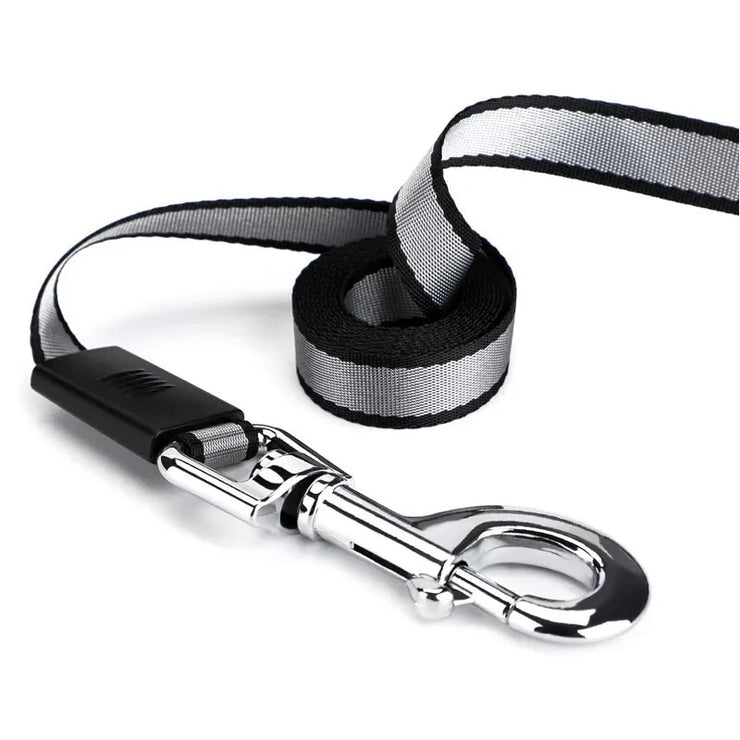 Automatic Extending Dog Leash