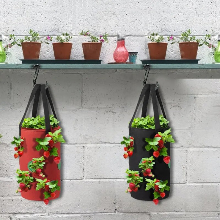 Wall Hanging Strawberry Grow Bag