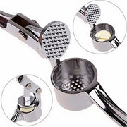 Kitchen Stainless Steel Garlic Smasher