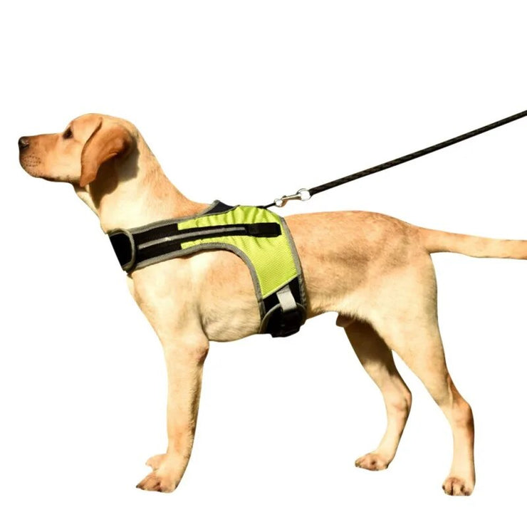 Pet Dog Adjustable Harness