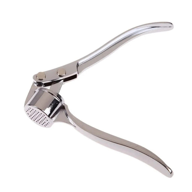 Kitchen Stainless Steel Garlic Smasher