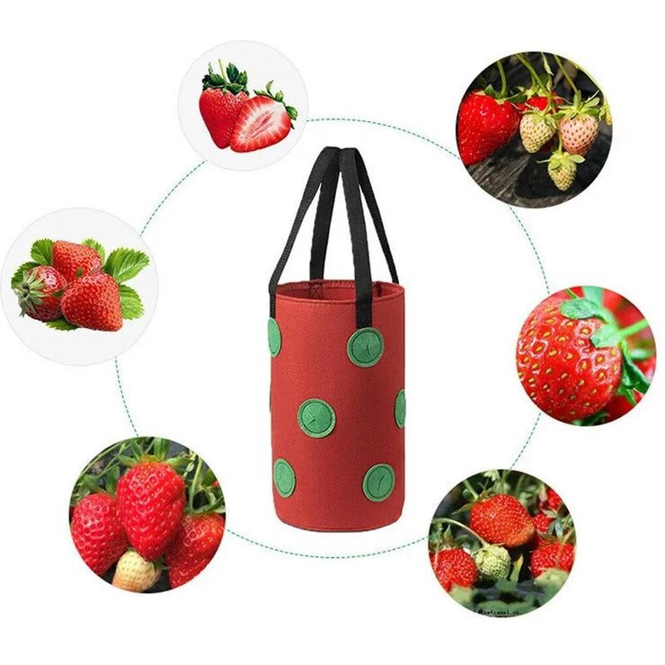 Wall Hanging Strawberry Grow Bag