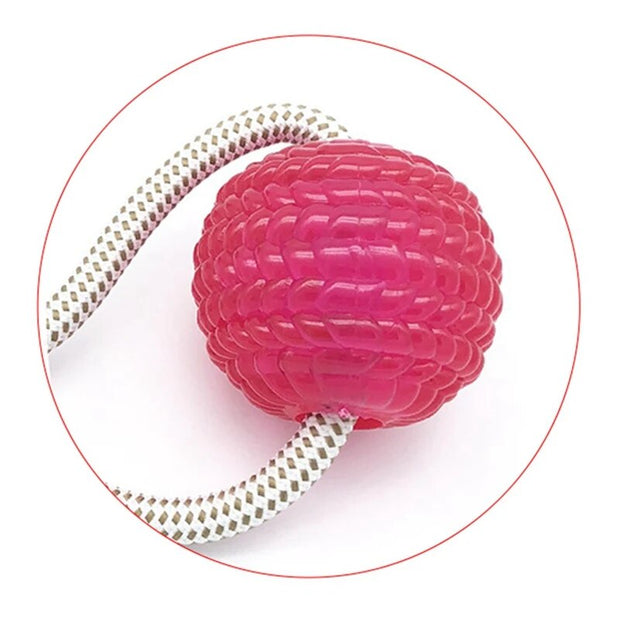 Dog Silicon Cup Suction Tug Ball Toys