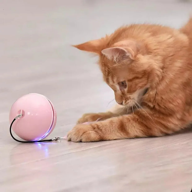 Cat USB Intelligent Interactive Toy