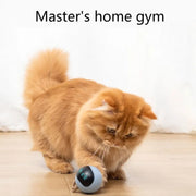 Electric Self Rotating Cat Ball Toys