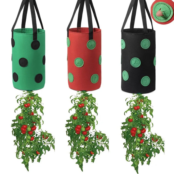 Wall Hanging Strawberry Grow Bag