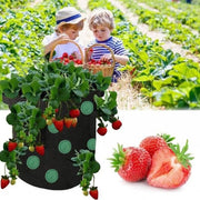 Wall Hanging Strawberry Grow Bag