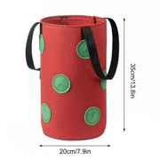 Wall Hanging Strawberry Grow Bag