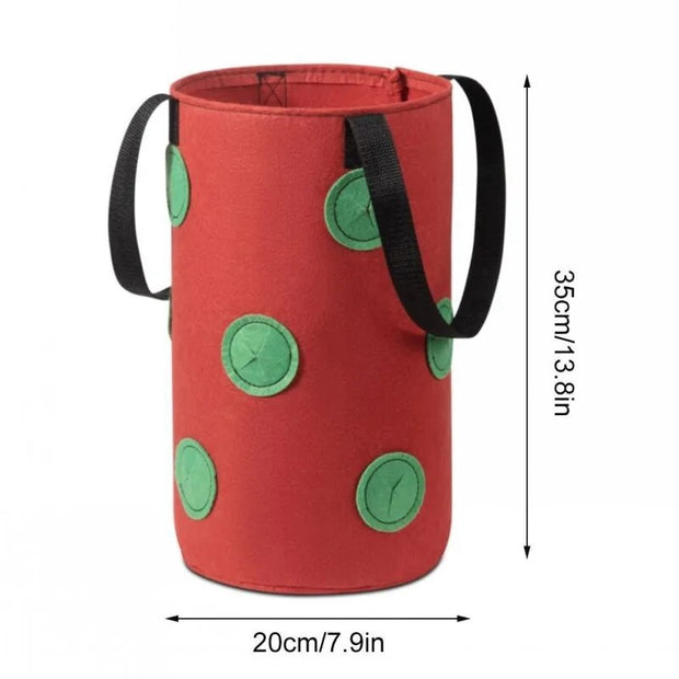 Wall Hanging Strawberry Grow Bag