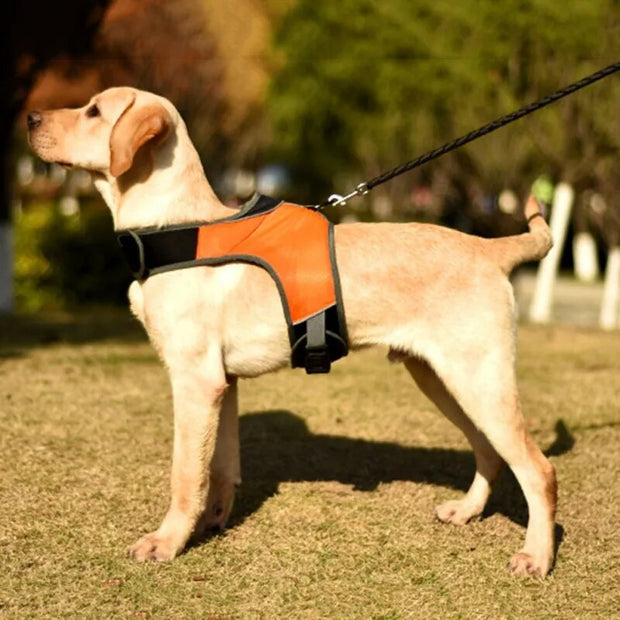 Pet Dog Adjustable Harness