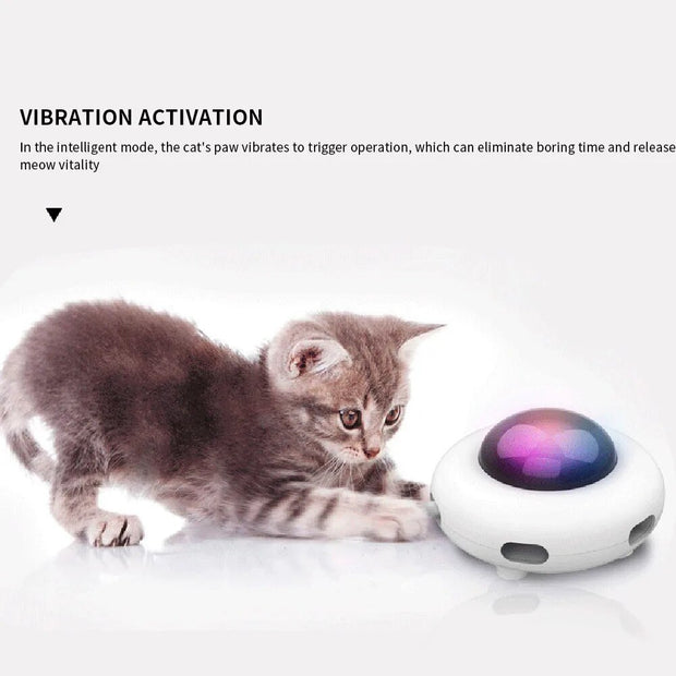 Pet Turntable Automatic Swing Toys