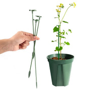 Garden Plant Potting Support Rods