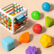 Tactile Learning Educational Toys