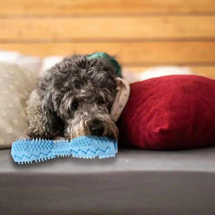 Dog Teeth Cleaning Toy