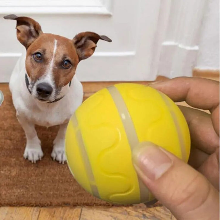 LED Self Rotating Ball Cat Toy