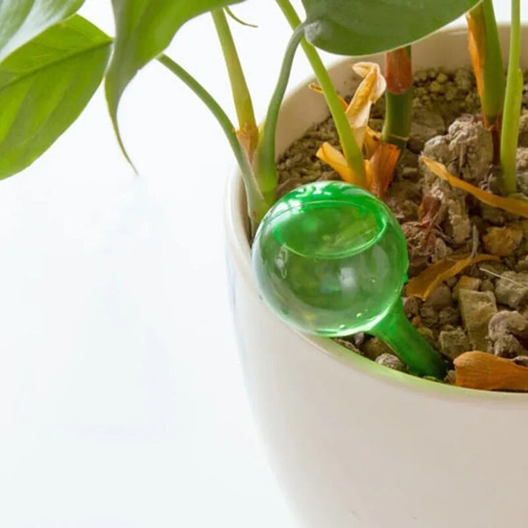 Automatic Plant Self Watering Feeder