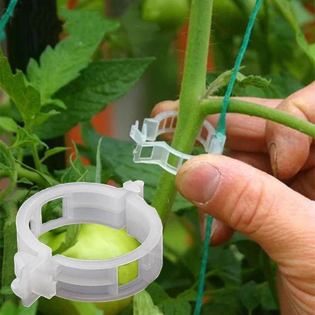 Garden Plant Supports Plastic Clips