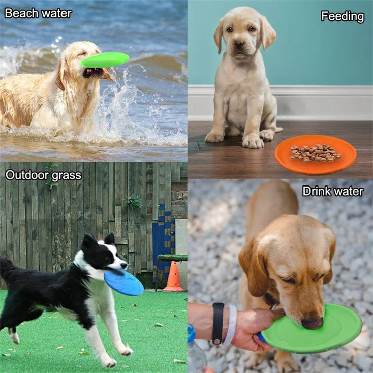 Dog Flying Discs Toy