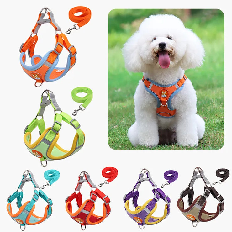 Pet Dog Adjustable Harness