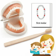 Child Learning Craft Toy