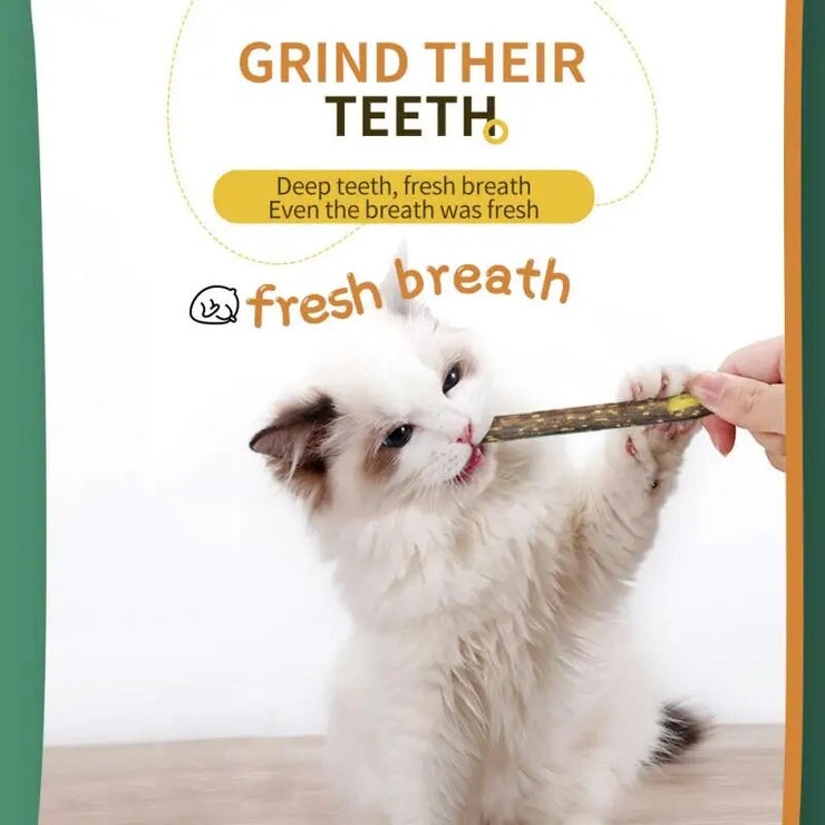 Pet Cat Molar Self-healing Chew