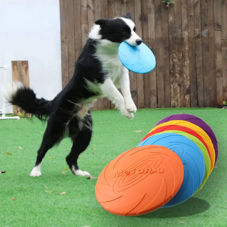 Dog Flying Discs Toy