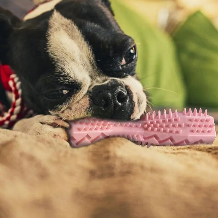 Dog Teeth Cleaning Toy