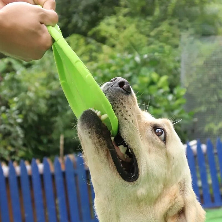 Dog Flying Discs Toy