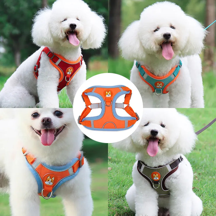 Pet Dog Adjustable Harness