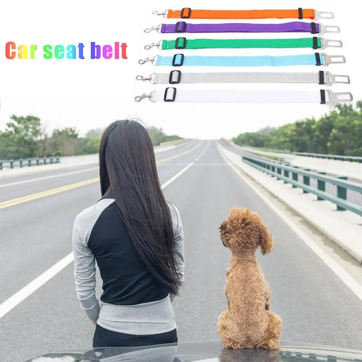 Dog Safety Car Belt