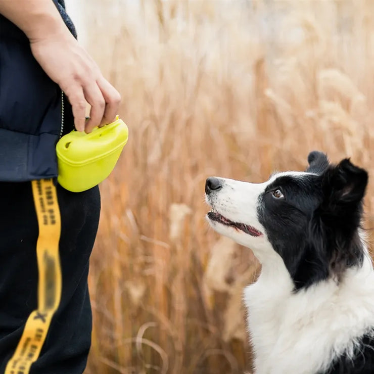 Portable Dog Training Waist Bag