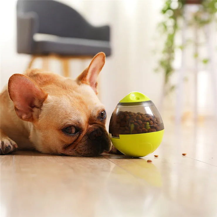 Pet Interactive IQ Treat Ball Toys