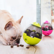 Pet Interactive IQ Treat Ball Toys