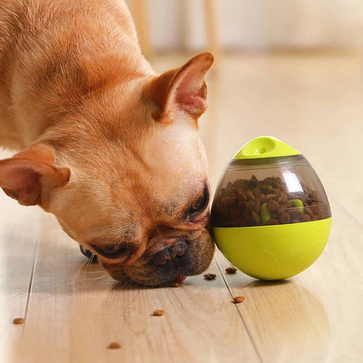 Pet Interactive IQ Treat Ball Toys