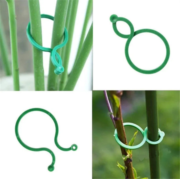 Garden Plant Support Clips