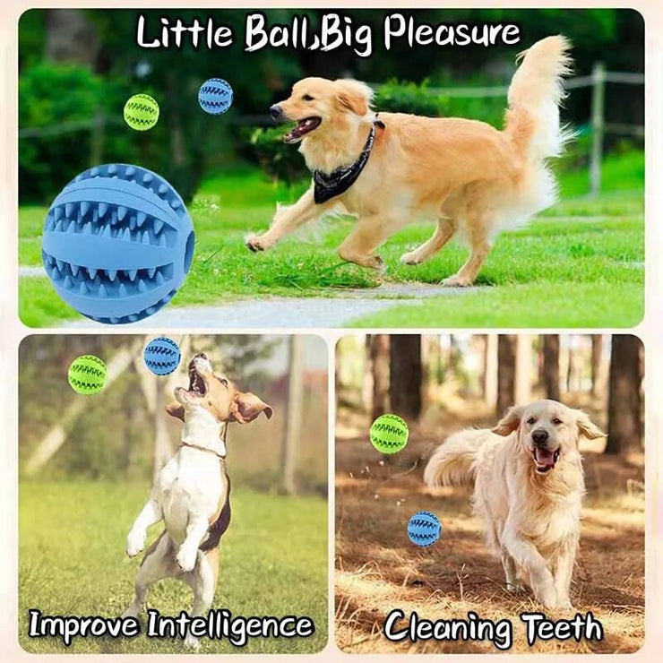 Pet Tooth Cleaning Food Ball