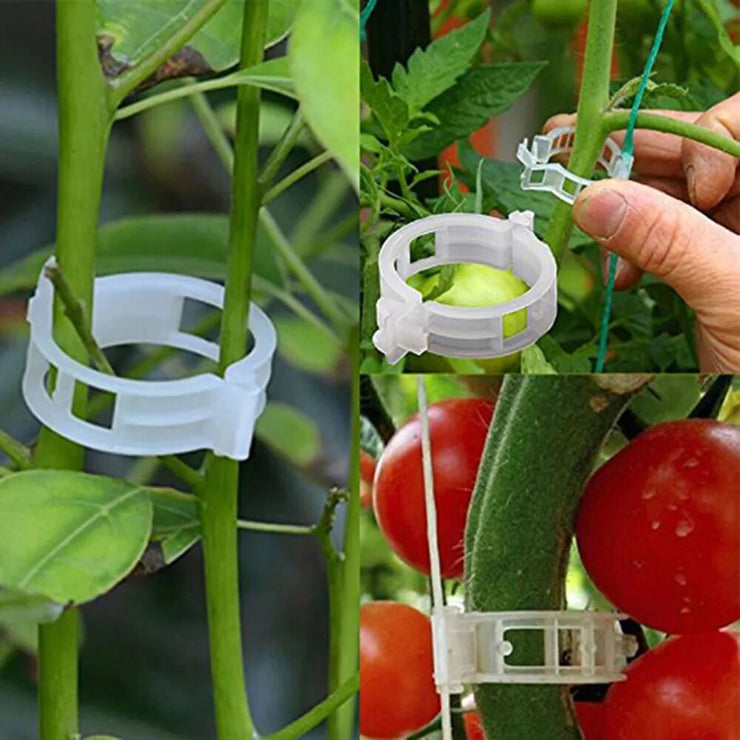 Garden Plant Supports Plastic Clips