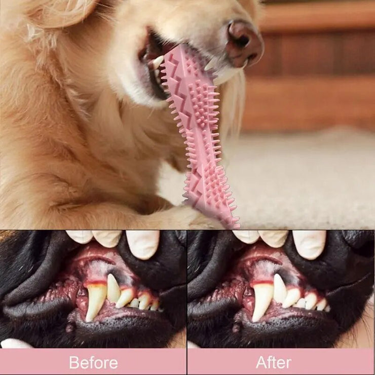 Dog Teeth Cleaning Toy