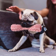 Dog Teeth Cleaning Toy