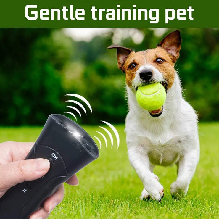 Dog Training Flashlight Devic