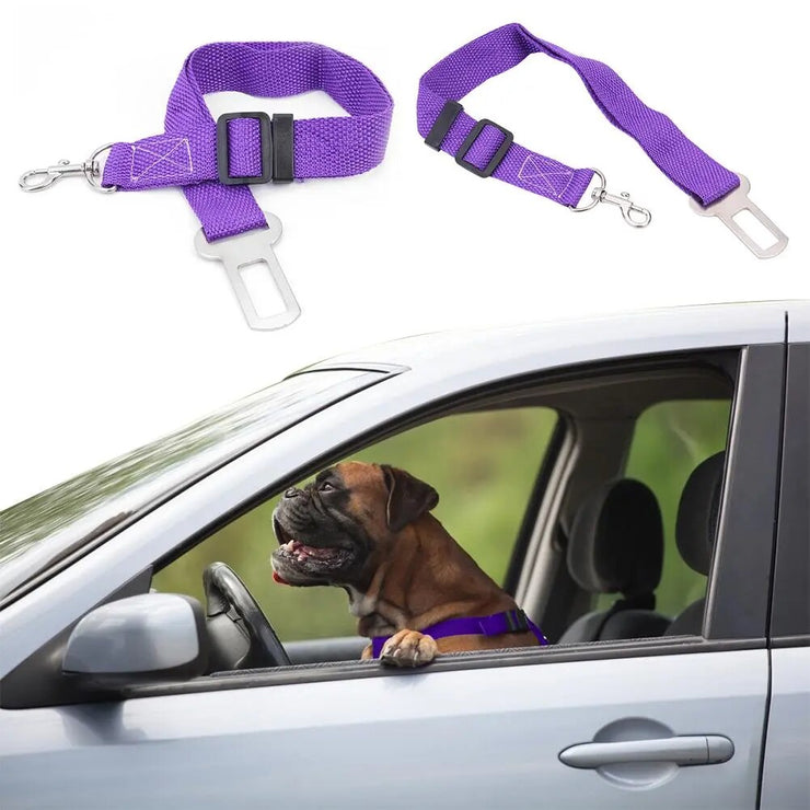 Dog Safety Car Belt