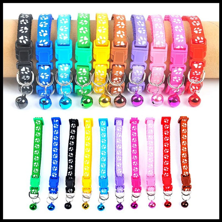 Pet Alloy Buckle Collar